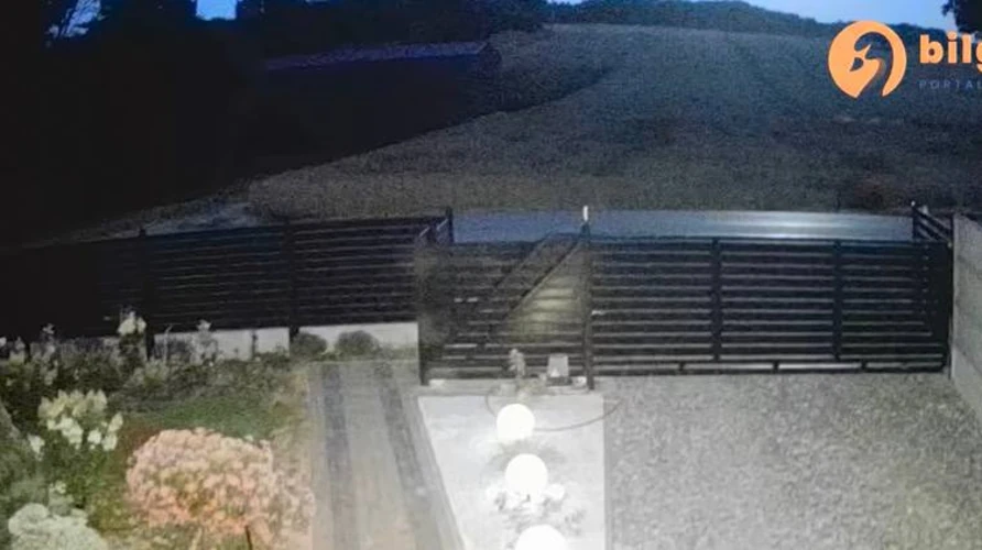 Скриншот відео з камери спостереження, на якому видно нічний пейзаж і спалах від падіння об'єкта