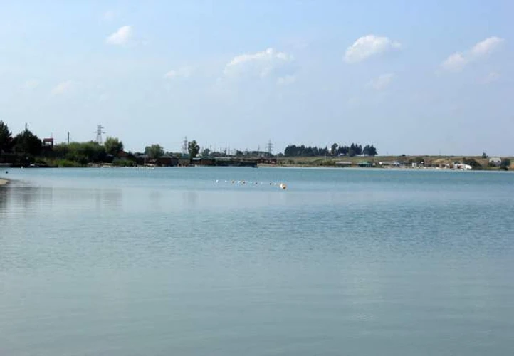 Загибла риба у водоймах Борщагівської громади на Київщині