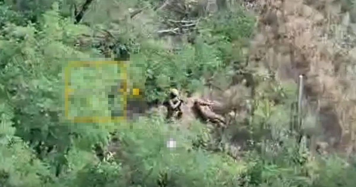Розстріл полонених нацгвардійців на Донеччині: чому це воєнний злочин
